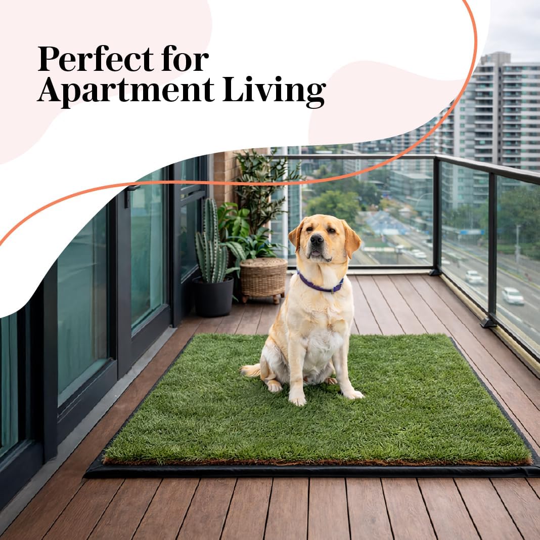 DoggieLawn XXL Real Grass Pee Pads for Dogs with Flex Mat – Fresh Reusable Grass Dog Potty Training Mat with Tray – Apartment-Friendly Indoor/Outdoor Pet Litter Box Patch – 48x48 Inches