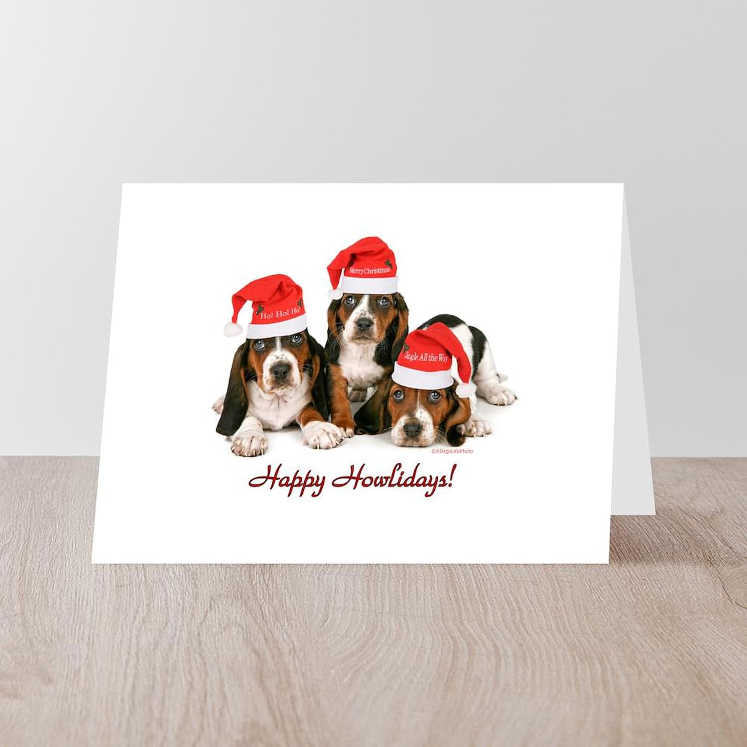 CafePress Basset Hound Christmas Folded Greeting Cards (10-pack) Matte
