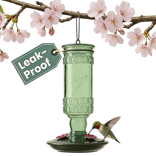 Perky-Pet Glass Bottle Hummingbird Feeder - Outdoor Garden Décor Humming bird Feeder, 8108-1SR - 10 Fl Oz Nectar Capacity - Durable Green Antique Design - Hang from Tree, Porch, Deck, Hook