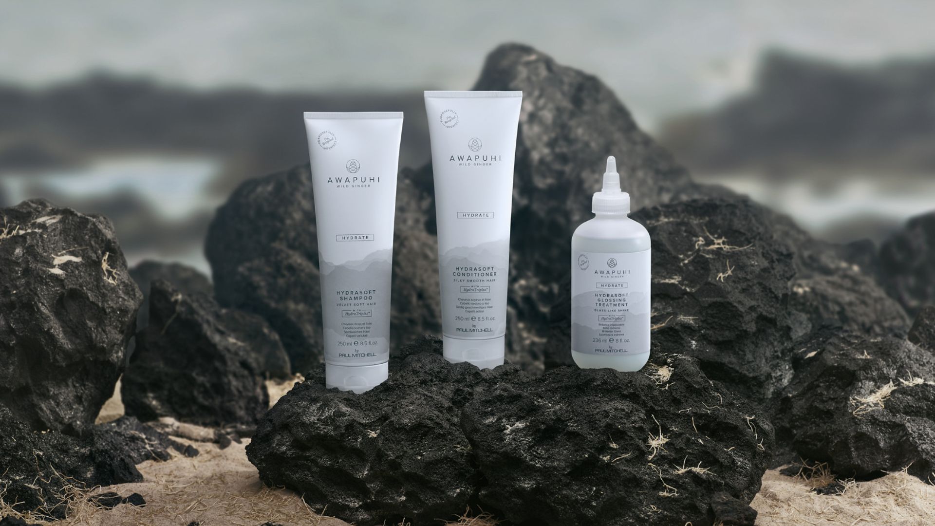 Amazon.com: Awapuhi Wild Ginger by Paul Mitchell HydraSoft