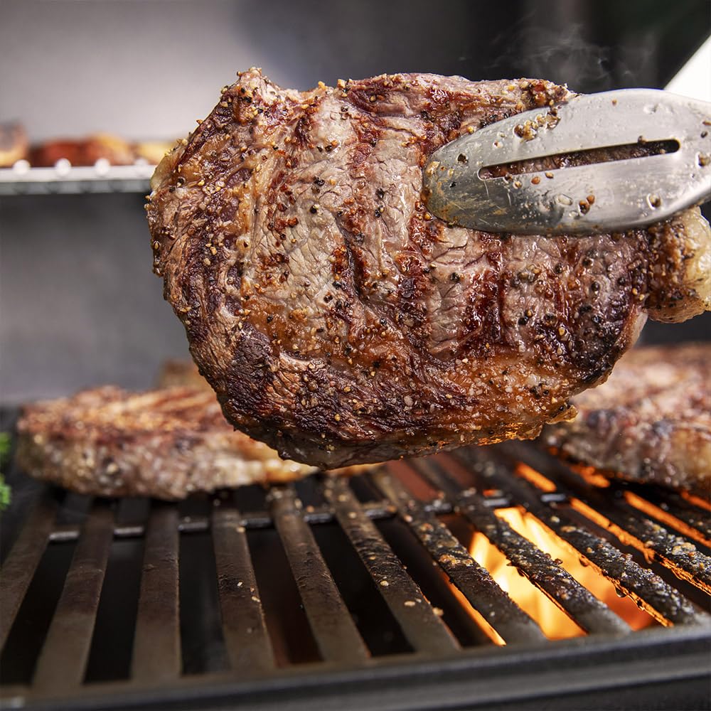 Weber Barbecue gaz Genesis E-315, 3 brûleurs PUREBLU, 11400 W