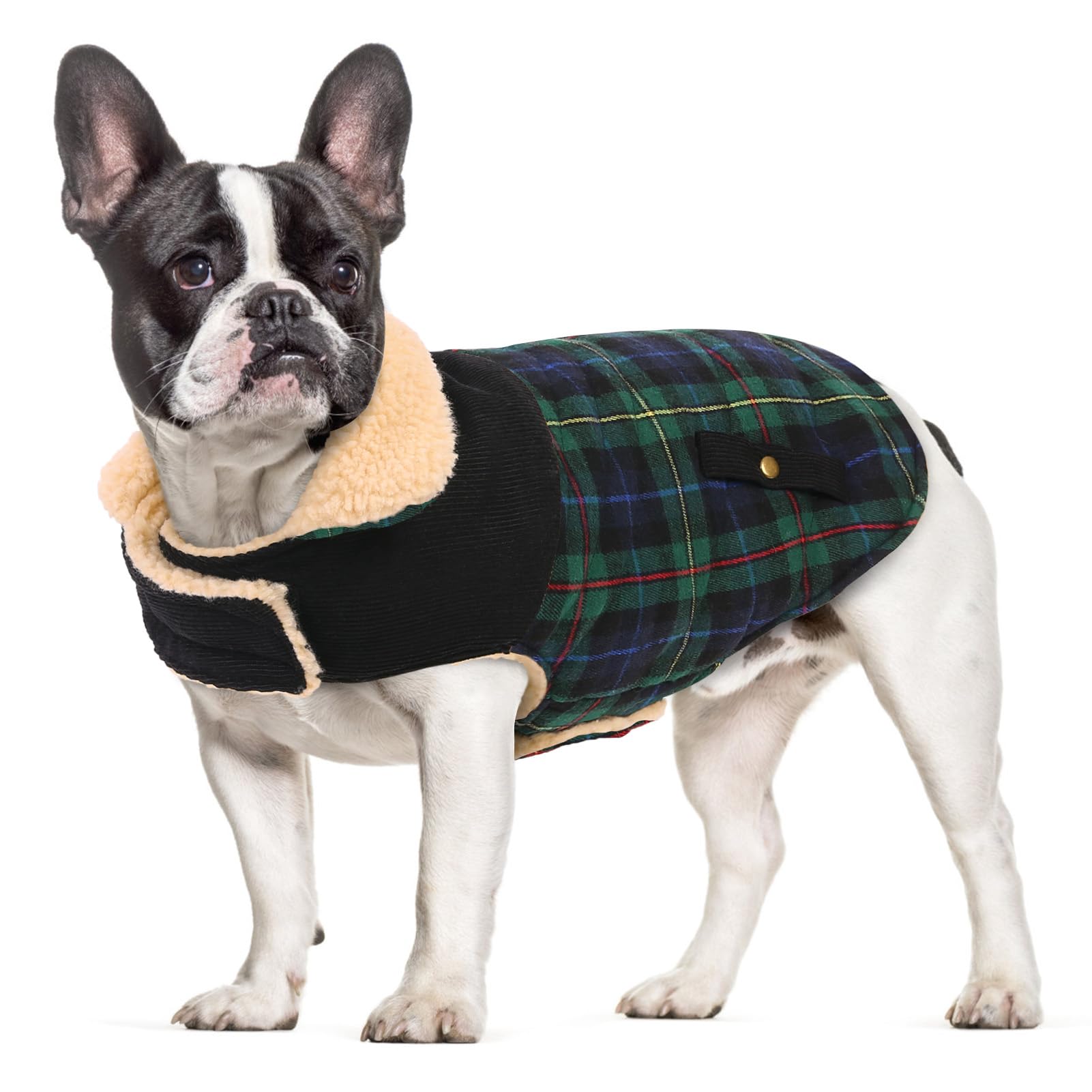 CITÉTOILE Cappotto Invernale per Cani - Giubbotto Termico con Pile, Gilet Antivento per Taglie Piccole/Medie/Grandi, Cappotto Classico a Quadri con Foro per Imbracatura, verde L