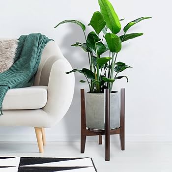Amazon.com : Adjustable Plant Stand with Tray,Indoor Wood