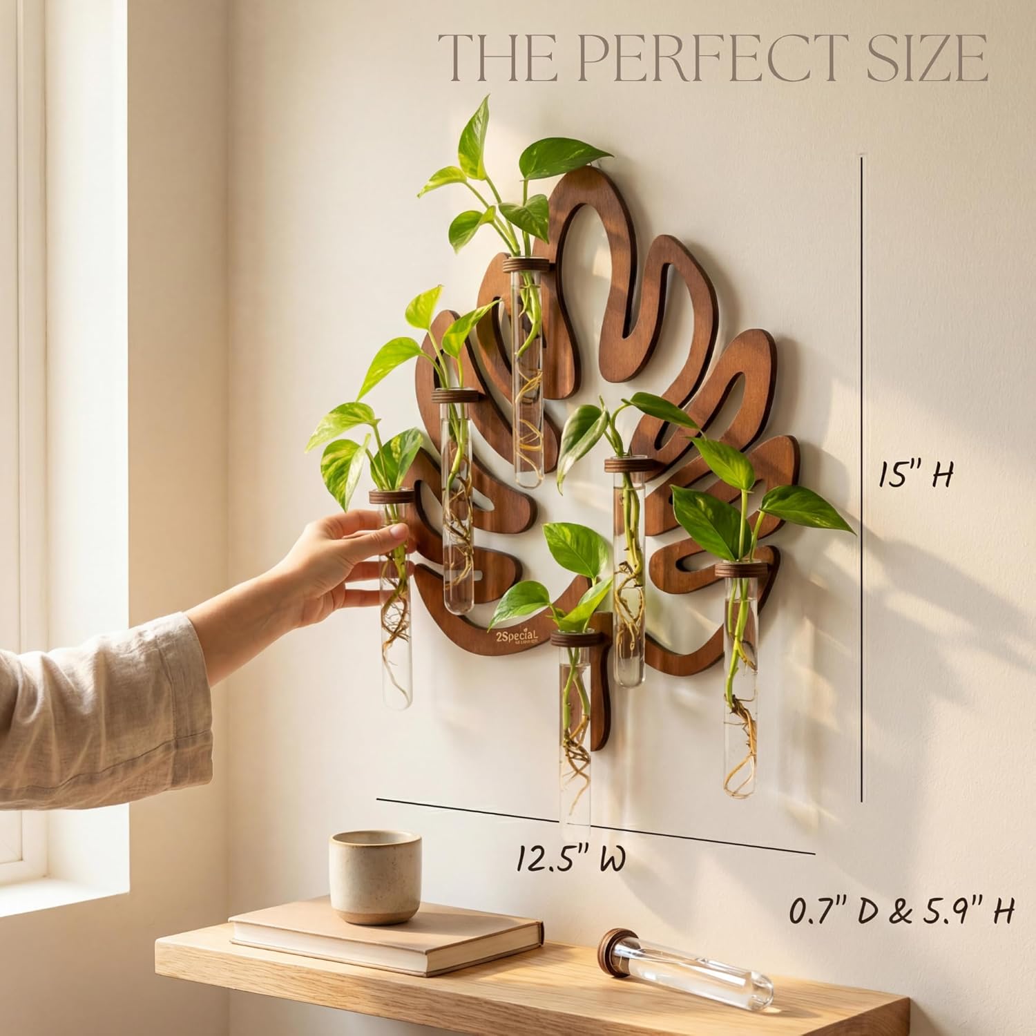 2Special Propagation Stations | Hanging Propagation Station and Wall Planters for Indoor Plants | Wooden Wall Vase, 6+1 Glass Propagation Vases for Plants | Leaf Shape Plant Propagation Station - Image 3
