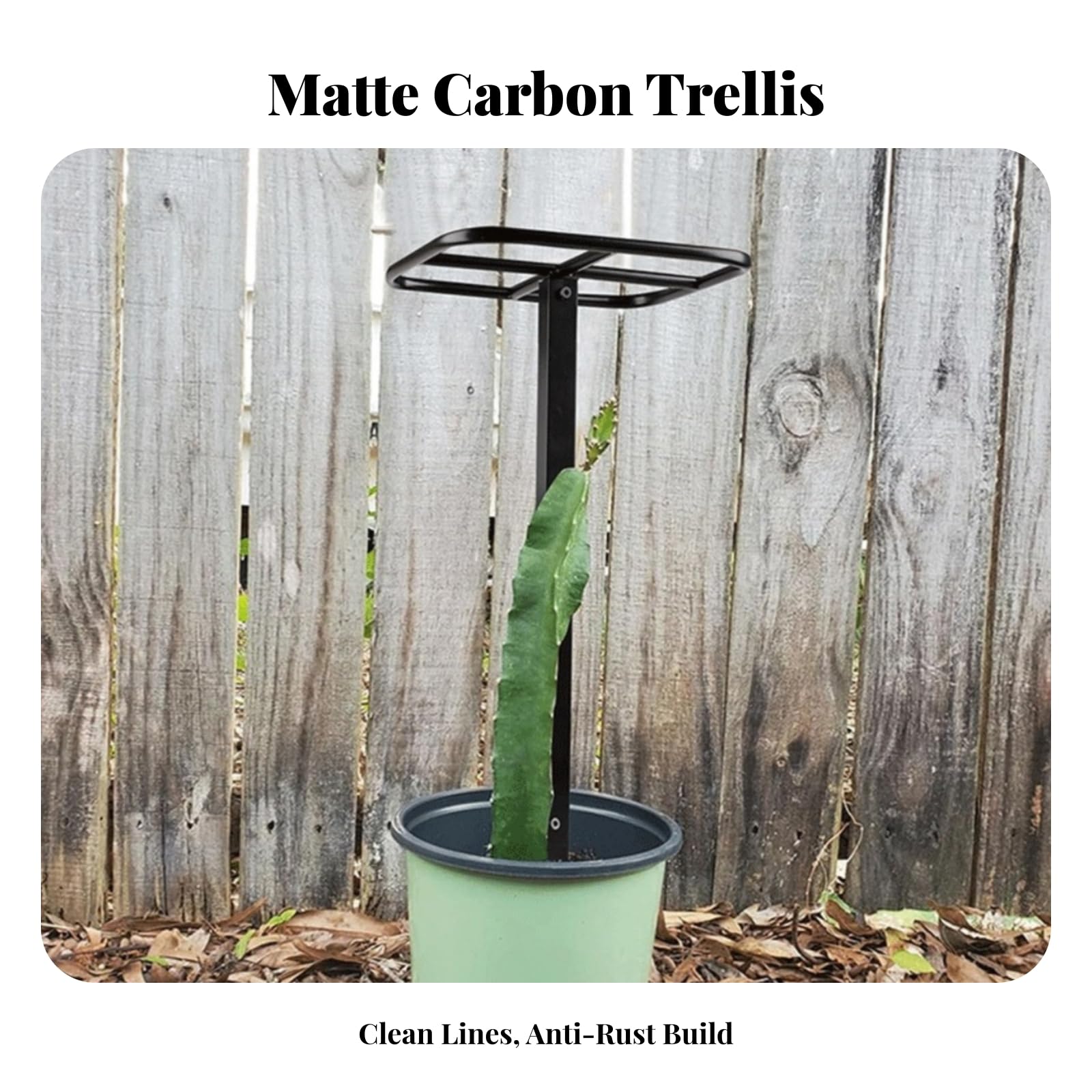 Tuteur pour Plantes Grimpantes