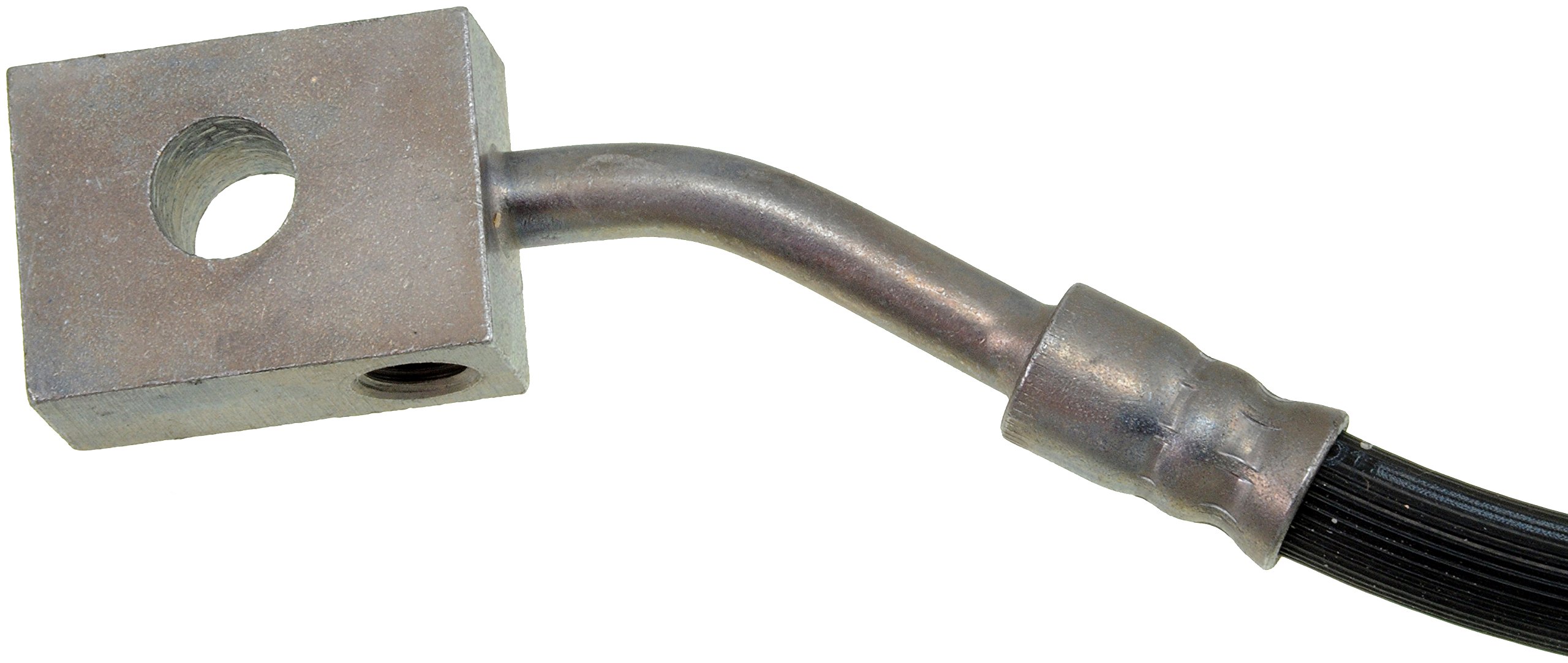 Amazon.com: Dorman H36734 Front Driver Side Brake Hydraulic Hose treat urself トリートユアセルフ水着