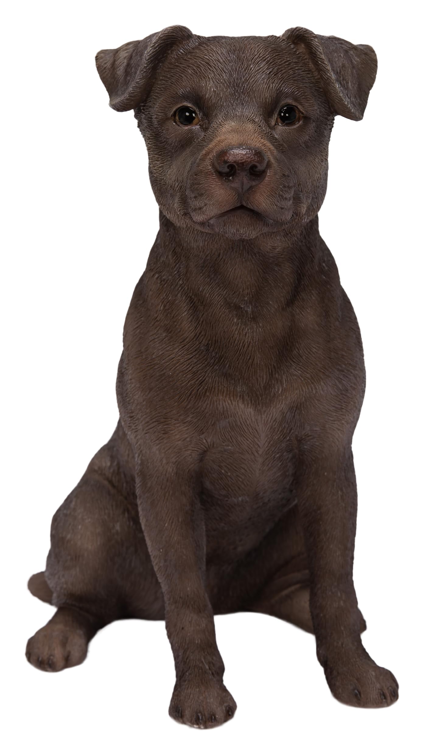 Vivid Arts Patterdale Terrier Dog Ornament – Realistic Loyal Companion Garden Decoration | Indoor & Outdoor Décor