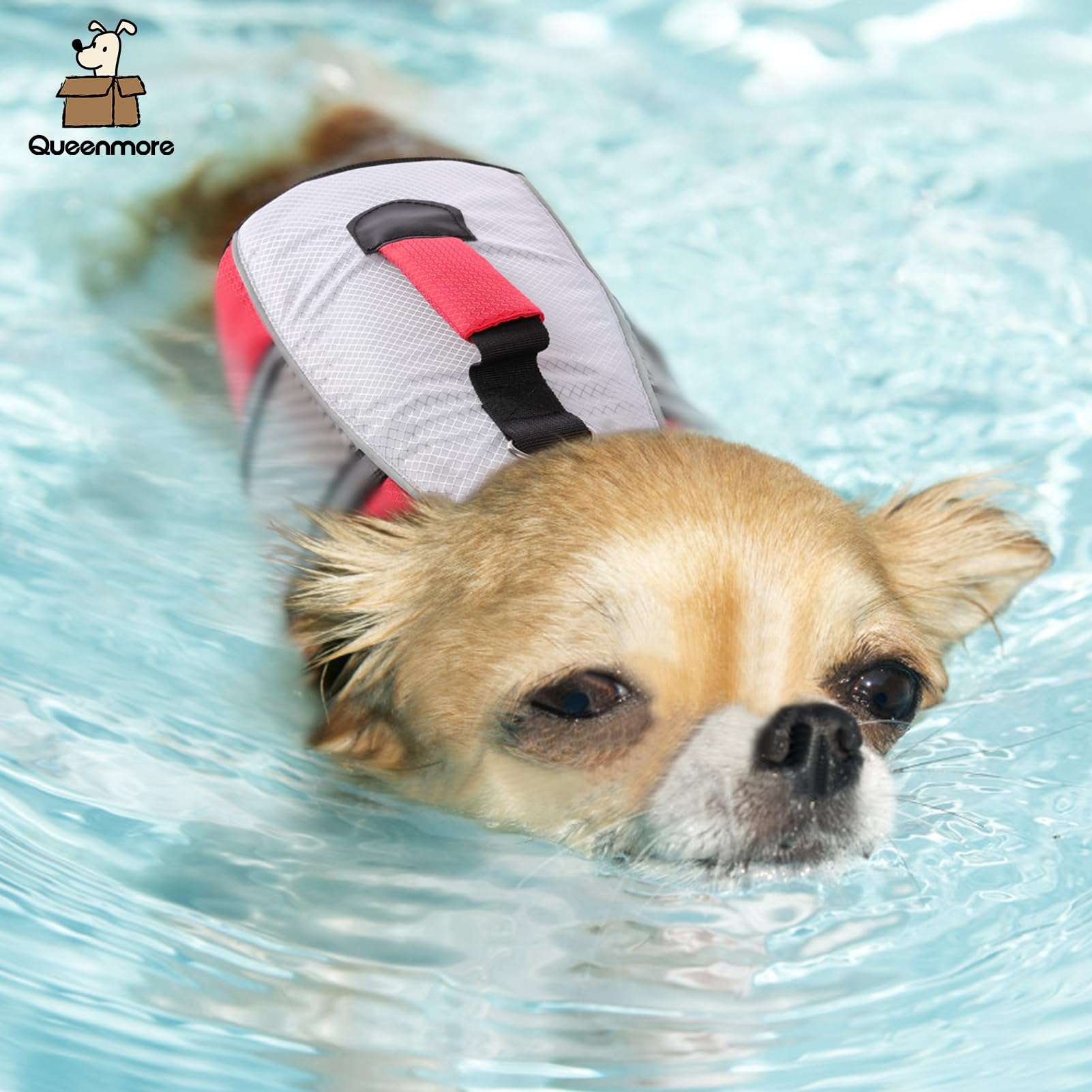 Queenmore Gilet de Sauvetage pour Chien léger hautement réfléchissant avec poignée de Levage et Anneau de Laisse