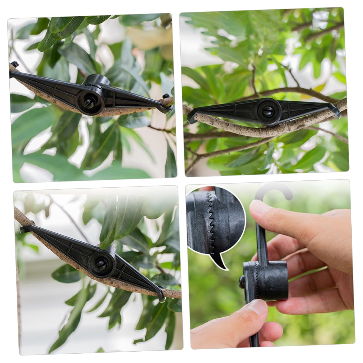 BESPORTBLE 4 Sätze Wachsen Pflanzenband Spaliere Unterstützung Gitter Gartenwerkzeuge Pflanzenclips Pflanzenaufzucht Gartenbieger Clips Für Den Innenbereich Anlage Plastik Black 5 Stück * 4