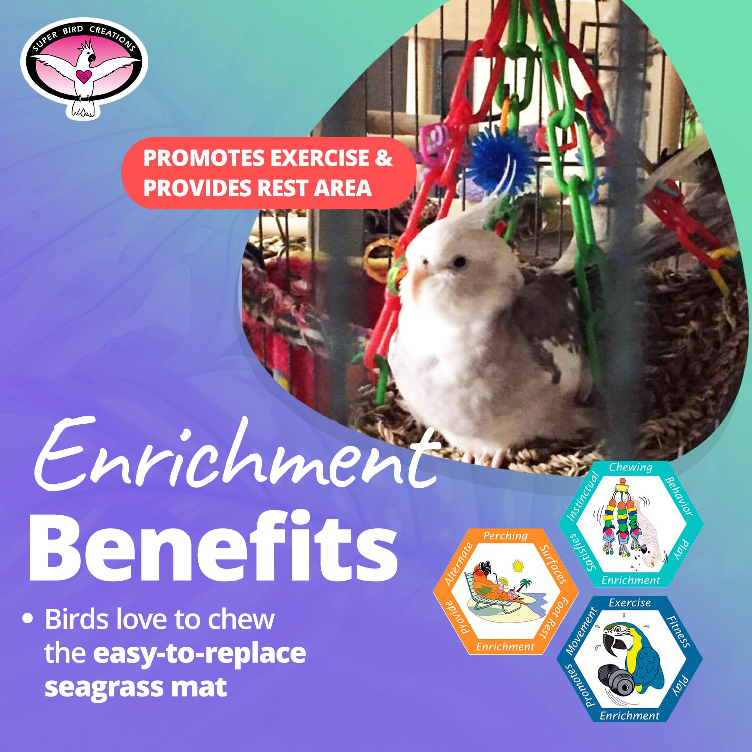 Super pájaro Creaciones Flying Trapecio Juguete para pájaros