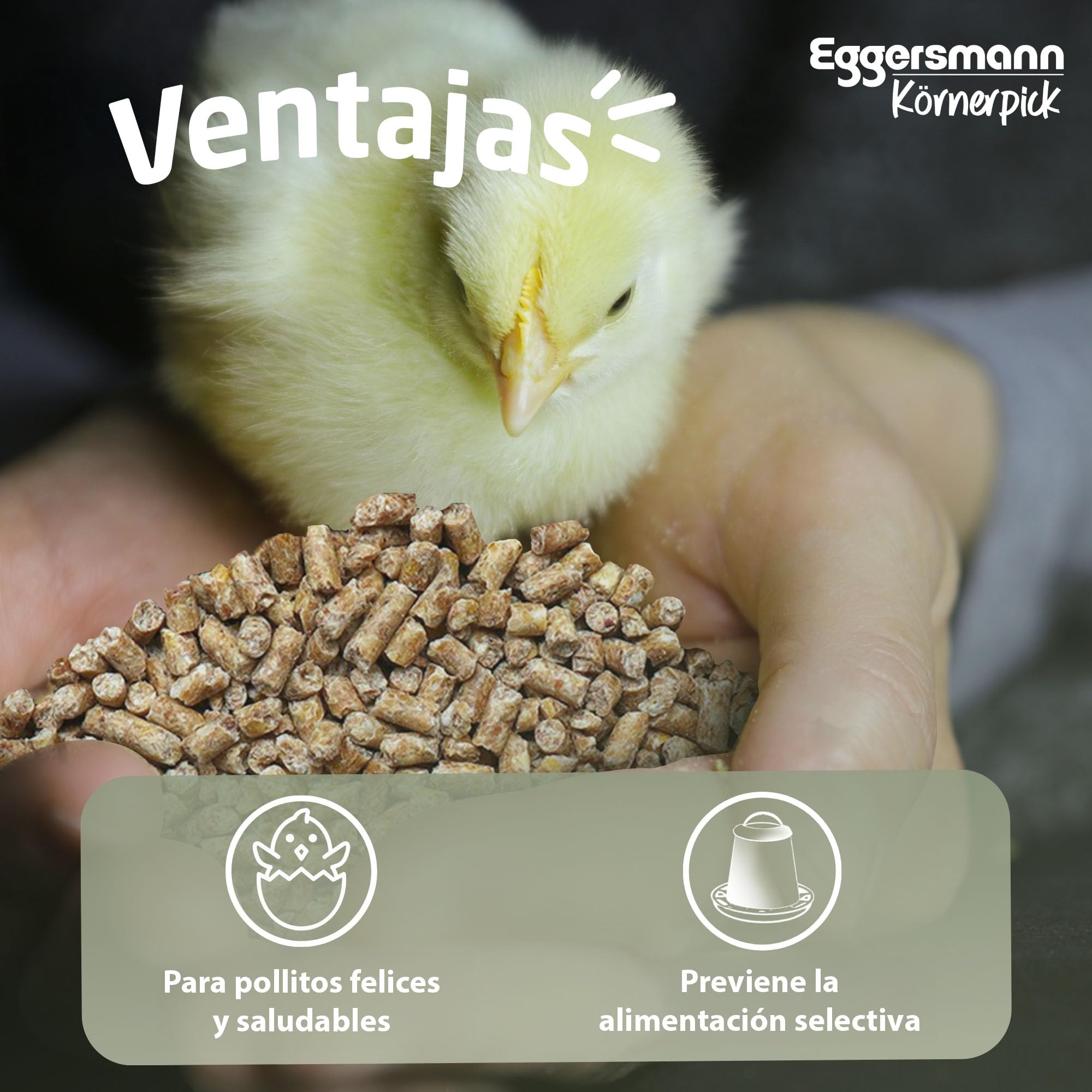 Eggersmann Körnerpick 25 kg de pellets de iniciación para Pollitos sin OGM - alimento para Pollitos - alimento Premium para Pollitos - pellets para Pollos, Gansos y Patos para cría | Sin OGM – Alimento para polluelos – Comida para pollos – Pellets para ga