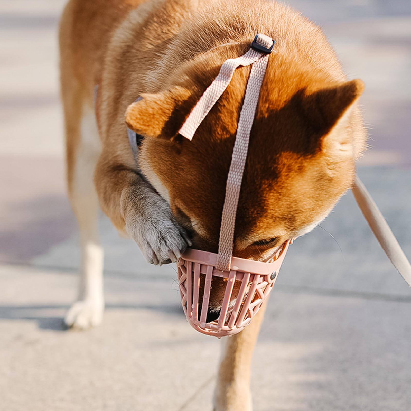 Bozal Suave for Perros, bozal de Malla Suave for Perros, Malla, Ajustable, bozales de Cesta Suave, cómodos, Transpirables, Ajuste rápido,Bozal para Perro(No. 2)
