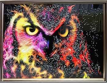 71Gq1HT3SRL._AC_UF350,