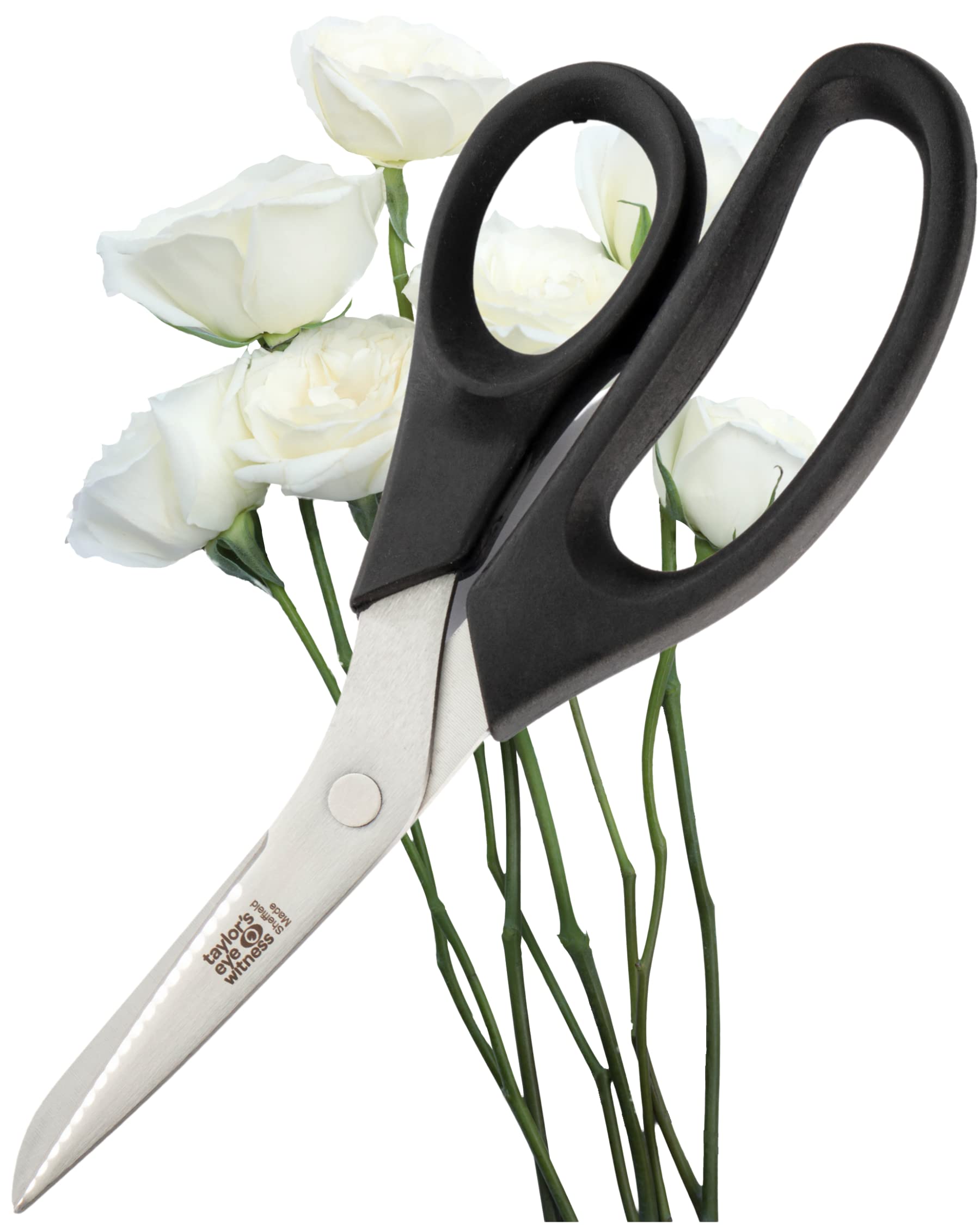 Taylors Eye Witness Kitchen (18/7" serrated blade)