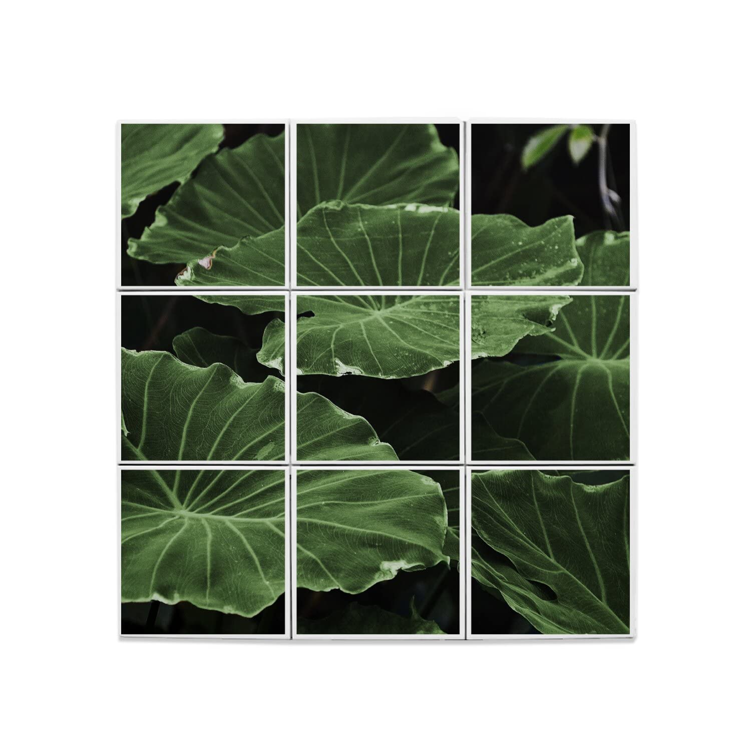 Fabulous Lot x9 Carreaux Céramique Décoratif 15,2 x 15,2 cm - Feuilles de Lotus Vie Végétale Nature Sauvage (Taille totale 45,6 x 45,6cm)