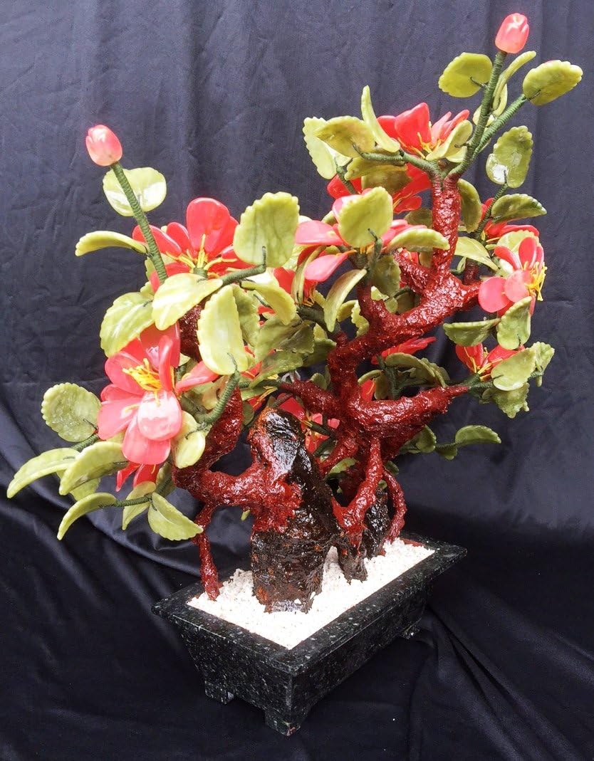 20" Jade Bonsai Camellia Flowers F567