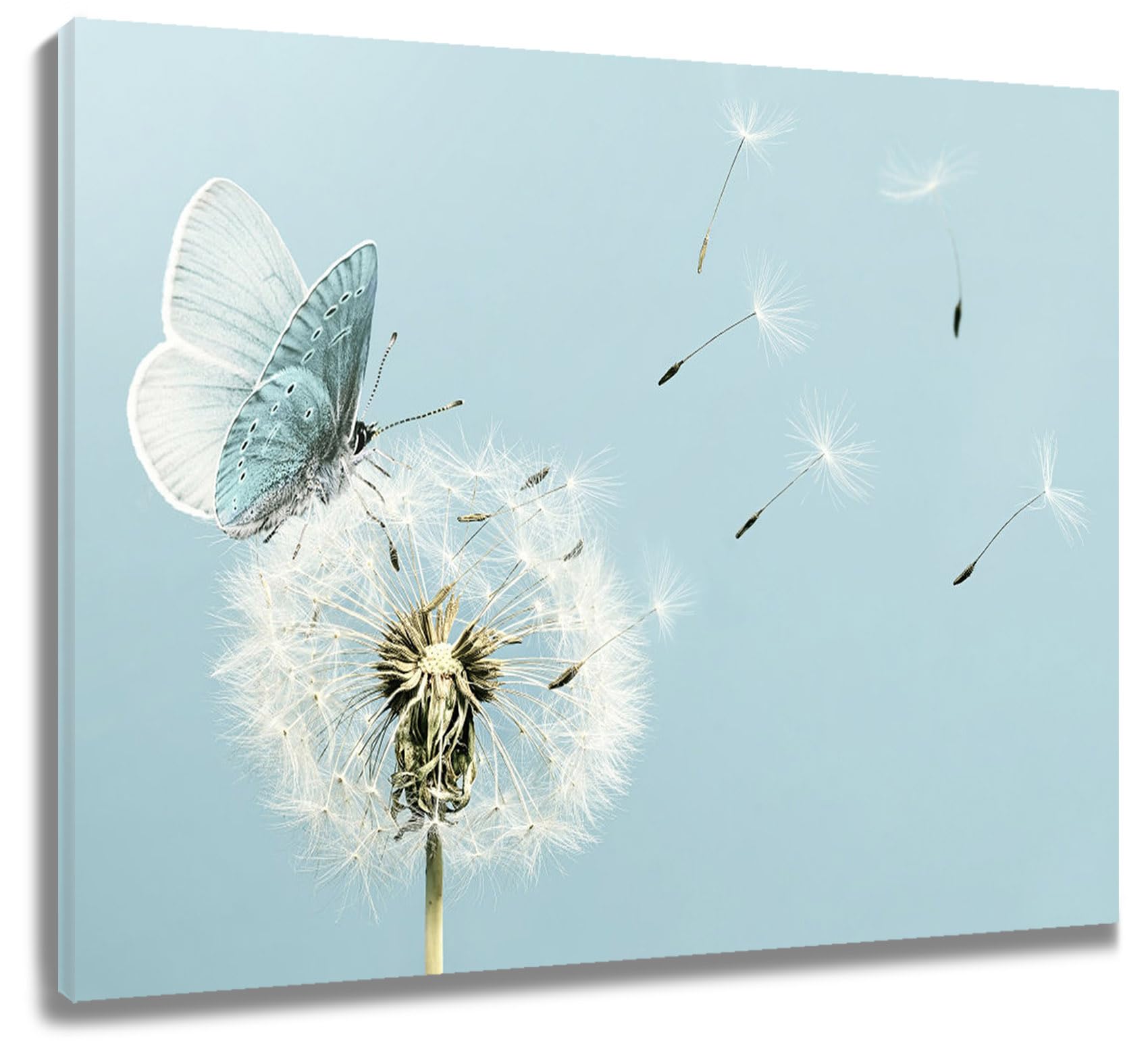 LB Dandelion Flower Wall Art Teal Butterfly on Floral Canvas Wall Art Aesthetic Painting Poster for Living Room Bathroom Wall Decor,20Wx16H inch Wooden Framed โ image 1