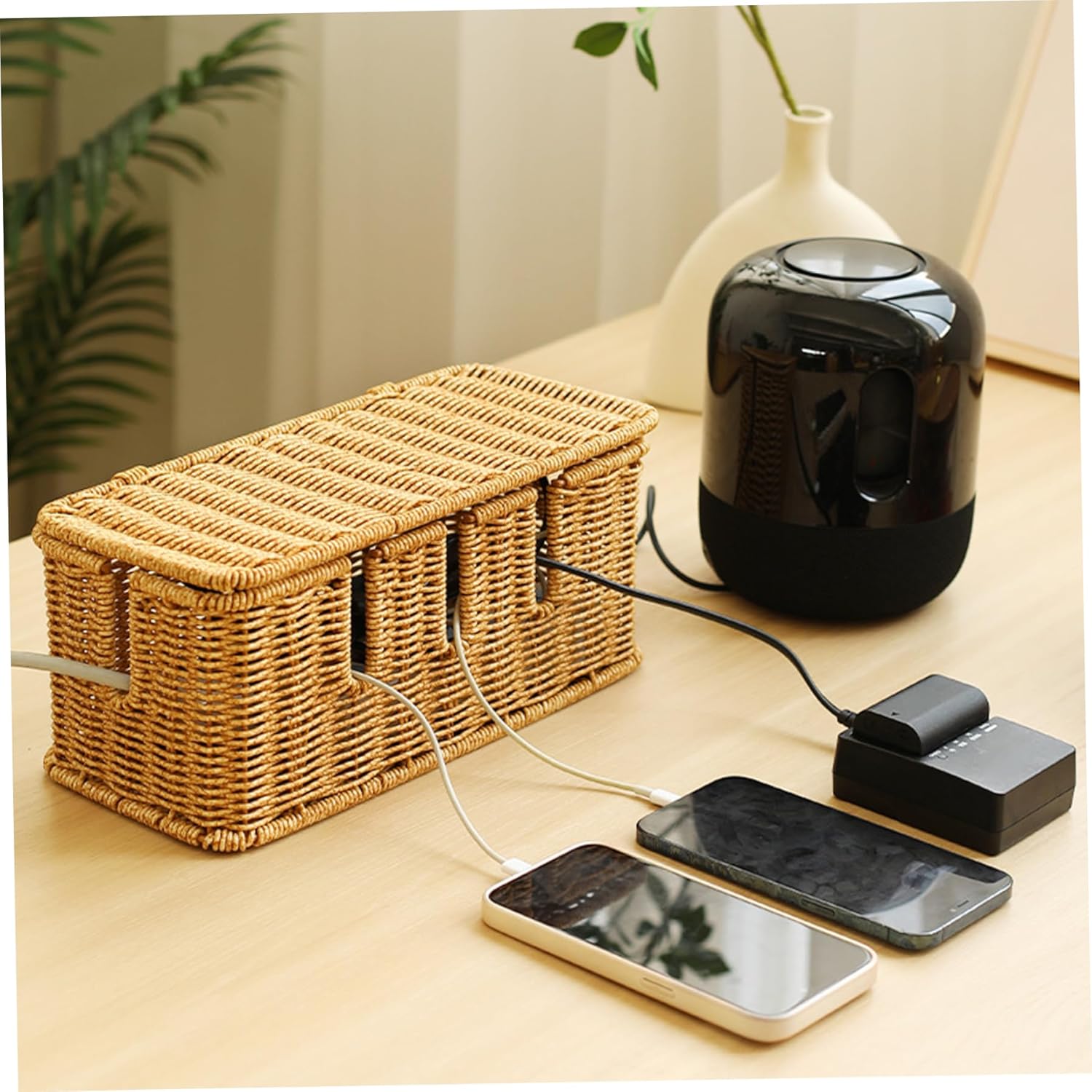 Cable Tidy Box, Rattan Woven Cable Management Box with Lid and 5 Dedicated Slots, 12x5.5x5 Under Desk Socket Organiser for Hiding TV Wires, Power Strips and Electrical Cords