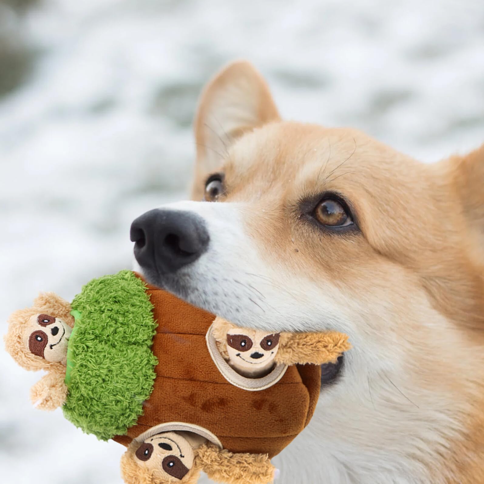 Toyvian Quietschendes Hundeplüschtier aus Plüsch in Tierform