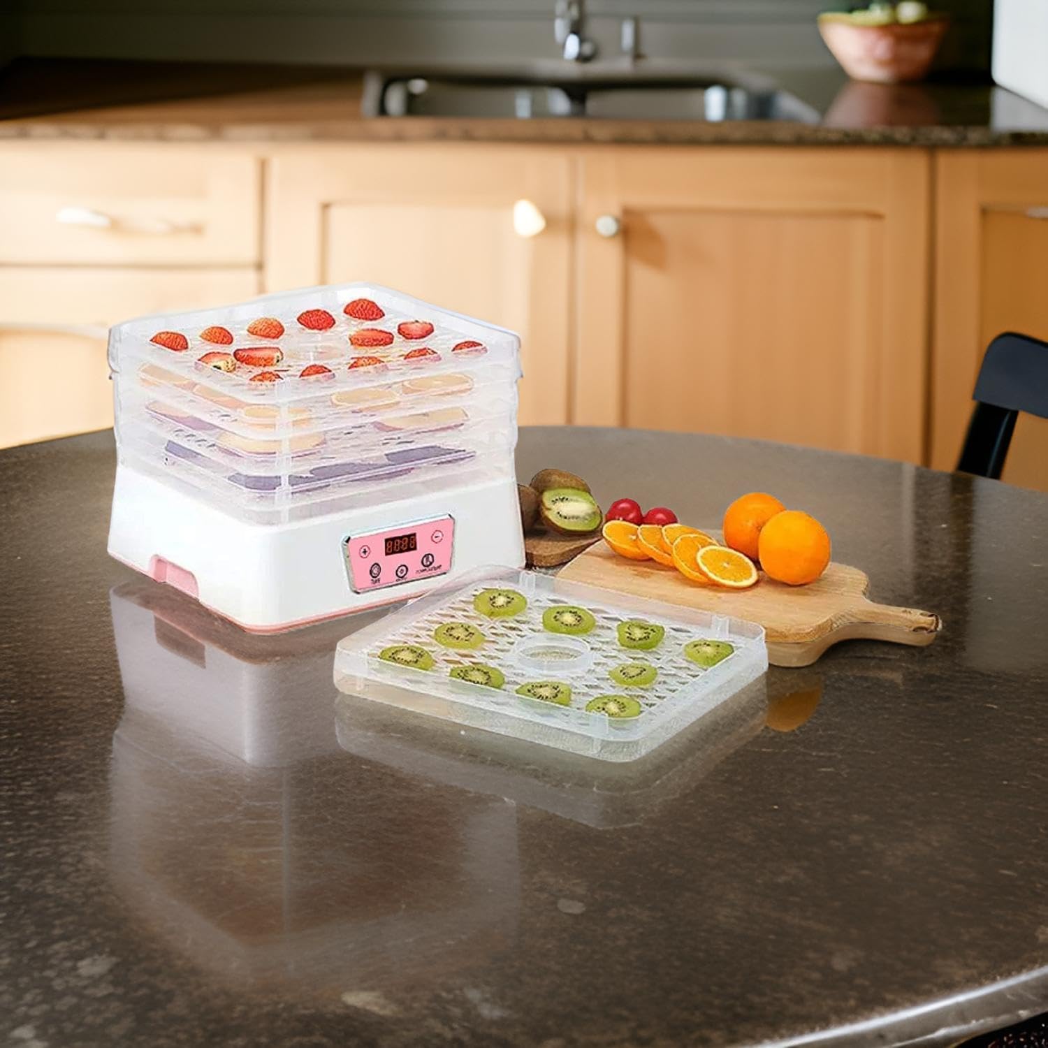 Divyabhav Food Dehydrator - Make Jerky & Snacks -4 Divyabhav Food Dehydrator - Make Jerky & Snacks -4