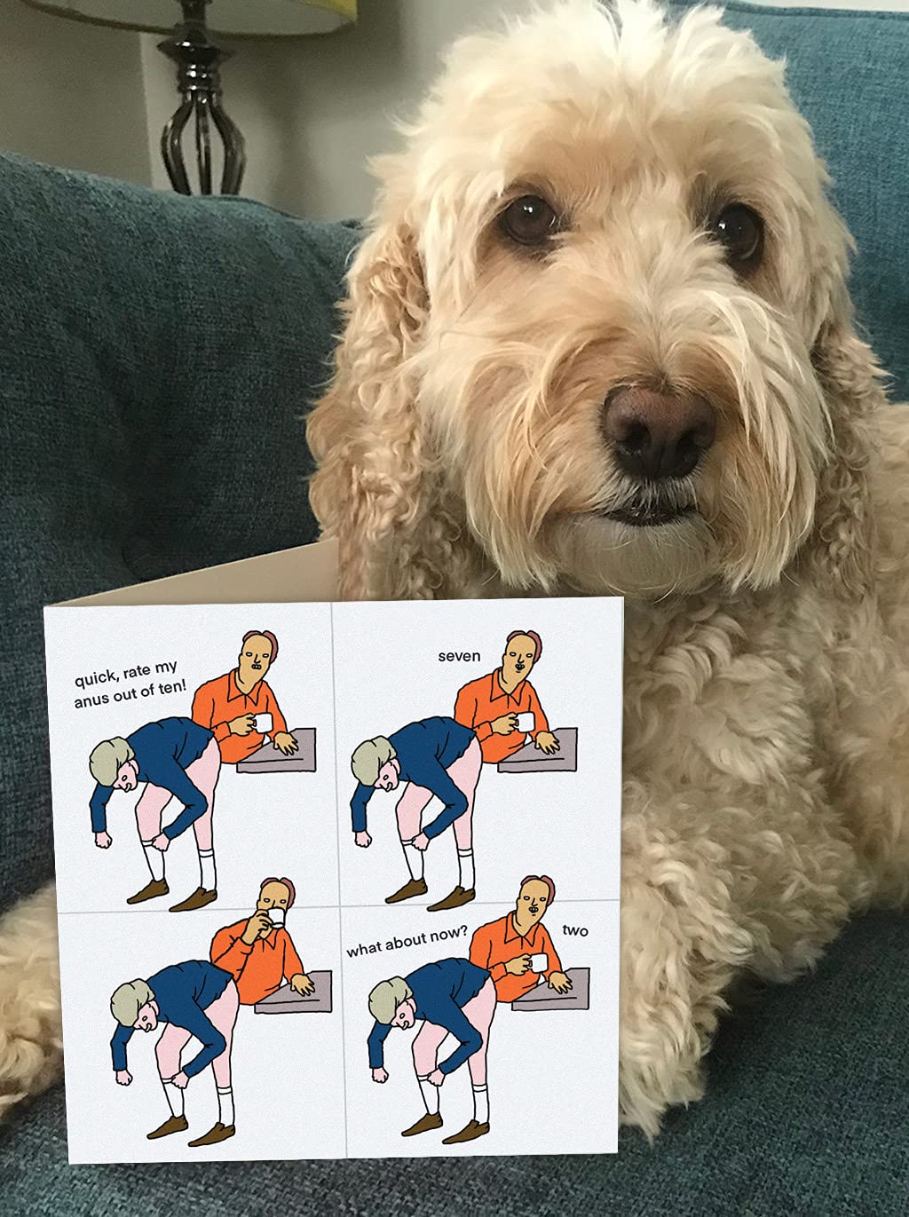 Brainbox Candy - Carte D'anniversaire Amusante – « Death Of Youth