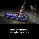 Dyson V8 Plus Cordless Vacuum