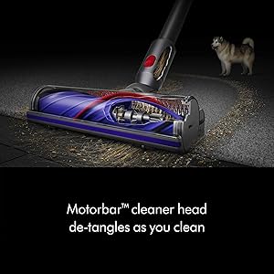 Dyson V8 Plus Cordless Vacuum, Cleans Hard Floors and Carpets, Detangles, Converts to Handheld, 115AW, 2 Power Modes, Up to 40 Minutes