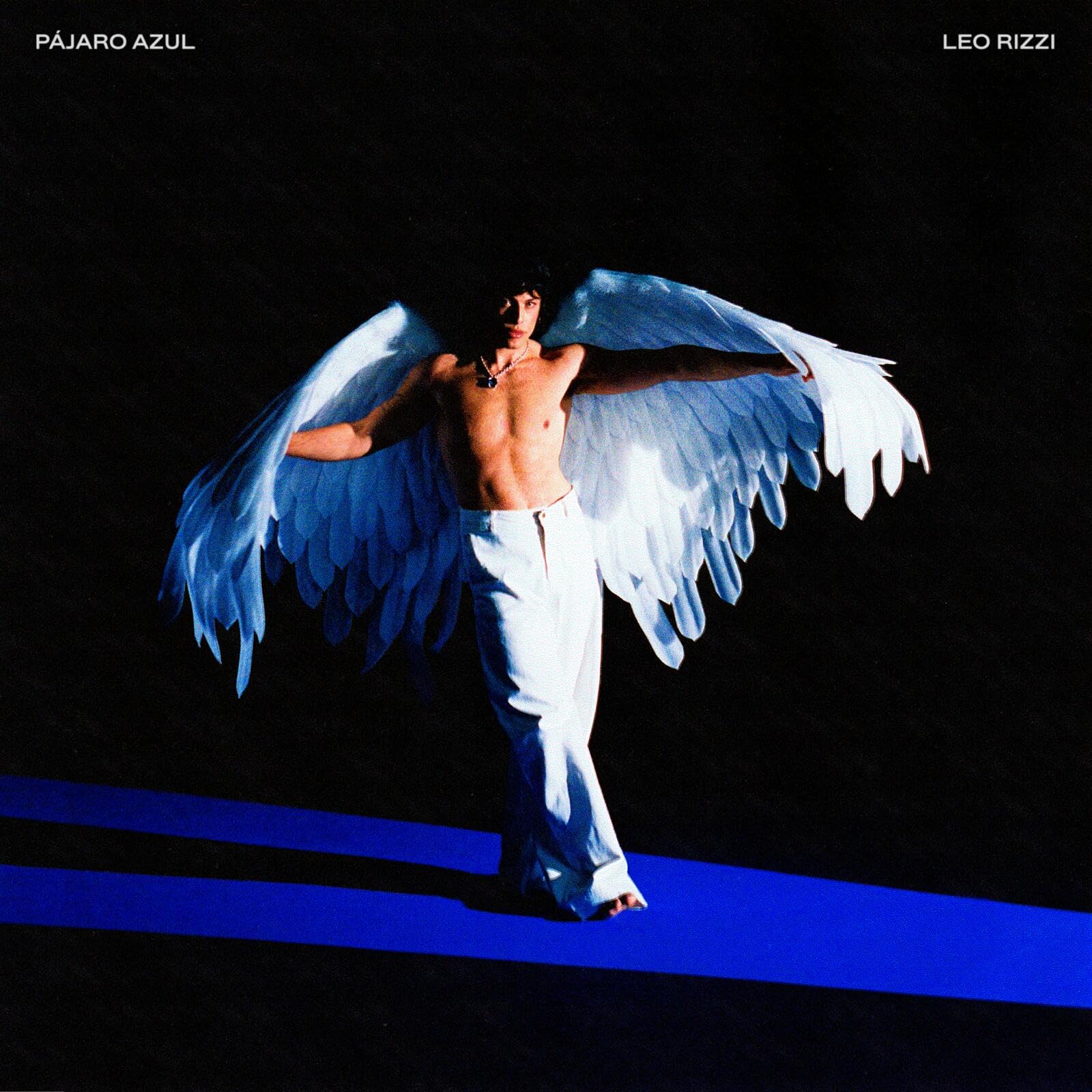 Pájaro Azul (CD) + Postal Firmada + Libreto