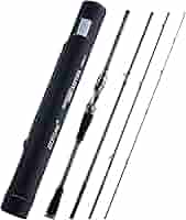 Amazon.com : GOTURE Travel Fishing Rods 30T, 4 Piece Fishing