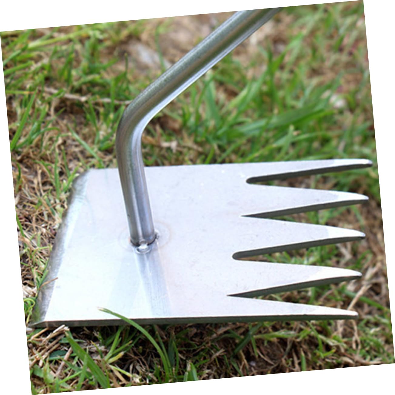 Toyvian 4 Stück Hand Unkrautstecher Robuster Gartenwerkzeug für Effektives Jäten und Unkrautentfernung für Enge Pflasterfugen und Oberflächenbearbeitung