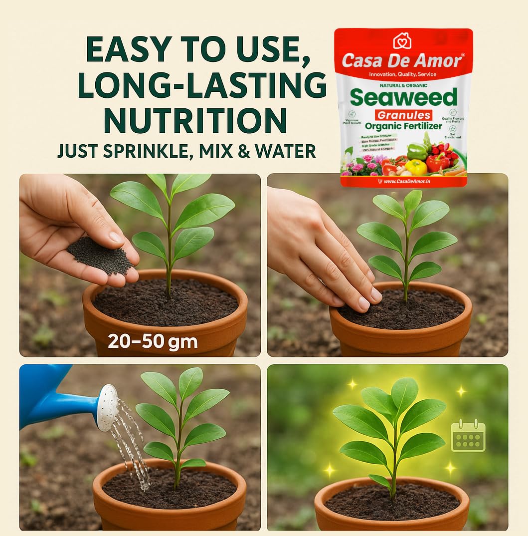 Casa De Amor Seaweed Granules Organic Plant Food, Plant Growth Promoter, Suitable For All Types of Plants (900 gm) 2