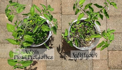 Miniatura 5 de Probióticos vegetales (bolsa de 2 onzas)