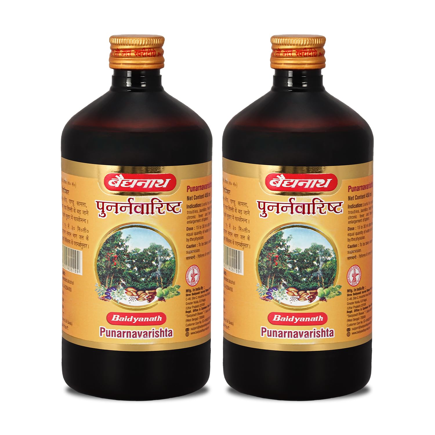 Baidyanath Punarnavarishta 450 Ml (Pack Of 2) Useful In Liver Problems &Kidney Disorders, Help To Relief From All Kinds Of Body Pains Help In Skin Diseases Helps In The Formation Of Urine Liquid (B09JWRD2ZB) Amazon Price History, Amazon Price Tracker
