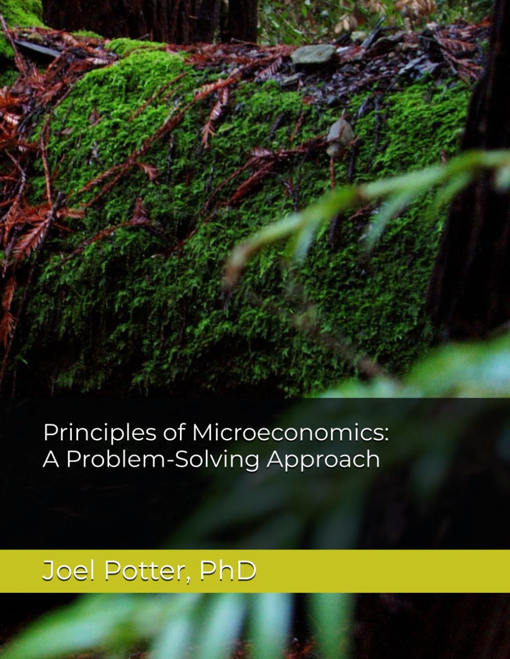 Principles of Microeconomics: A Problem-Solving Approach
