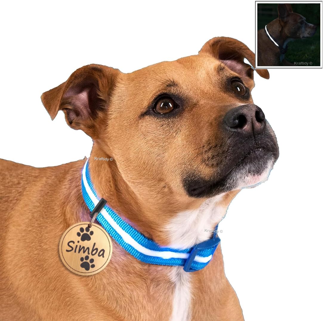 Kraftidy Dog Collar Belt with Name tag id Customized for Small Medium Large Dogs Neck Collar with Personalized Dog Name (with Dog Name) (Reflective) (Small Dogs, Blue) (B0CXTBKNB3) Amazon Price History, Amazon Price Tracker