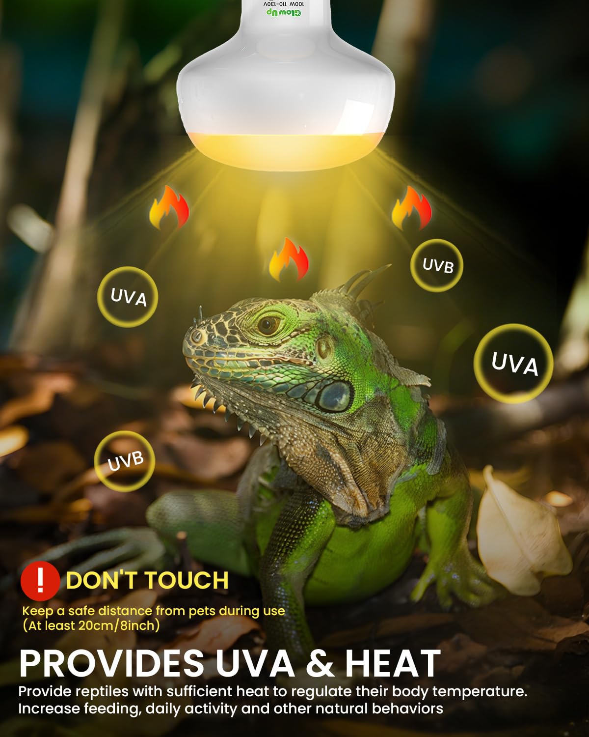 GlowUp UVA UVB Light Bulbs for Reptiles E26 Combo Pack 110V - 100W Reptile Heat Lamp Bulb + 26W 10.0 UVB Bulb Provide Heat, Light, D3 and UV for Bearded Dragon, Tortoise, Lizard - image 3