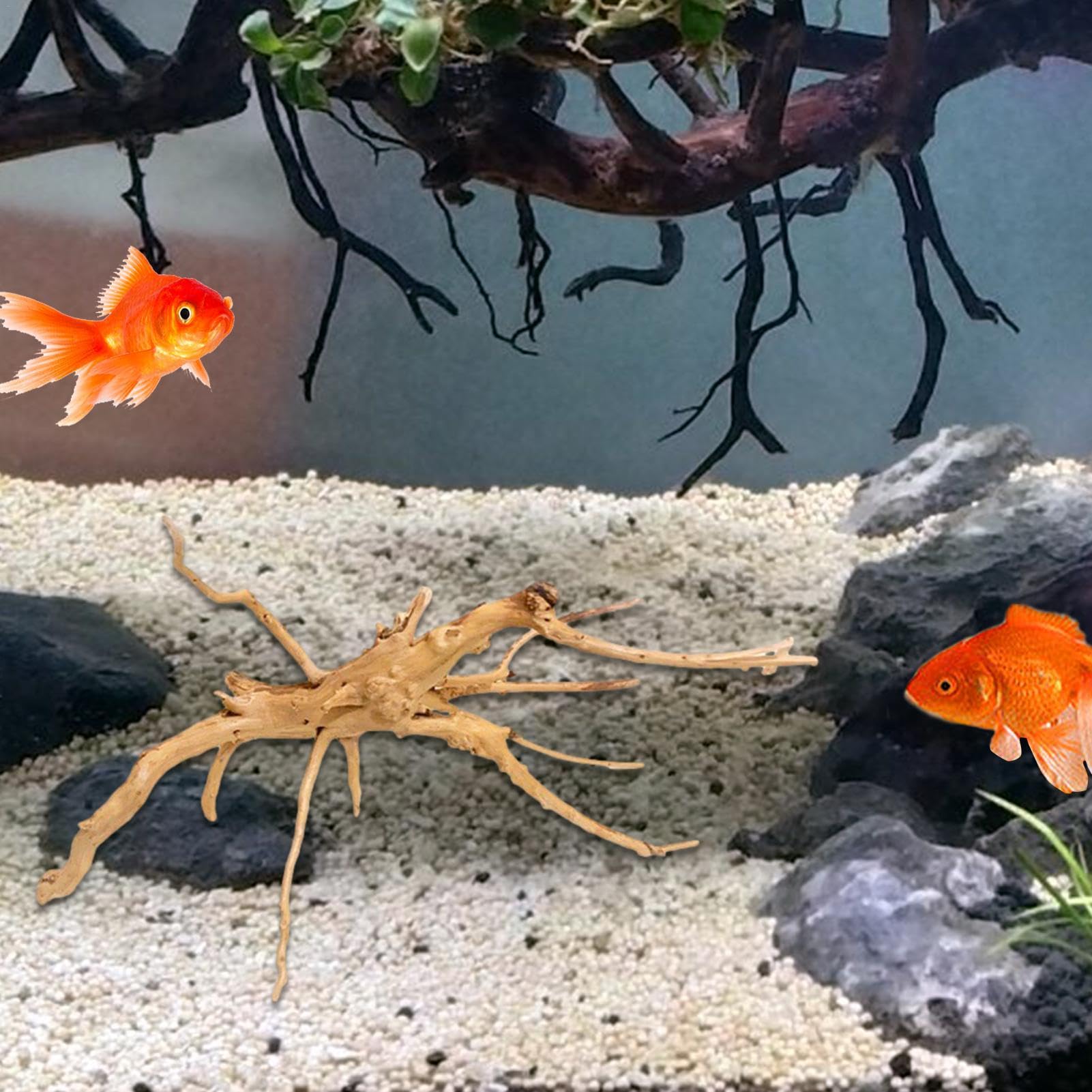 Fulenyi Plantes d'aquarium, racine d'arbre en bois flotté, décoration en bois flotté, branches en bois massif, décoration de terrarium, accessoires pour petits poissons