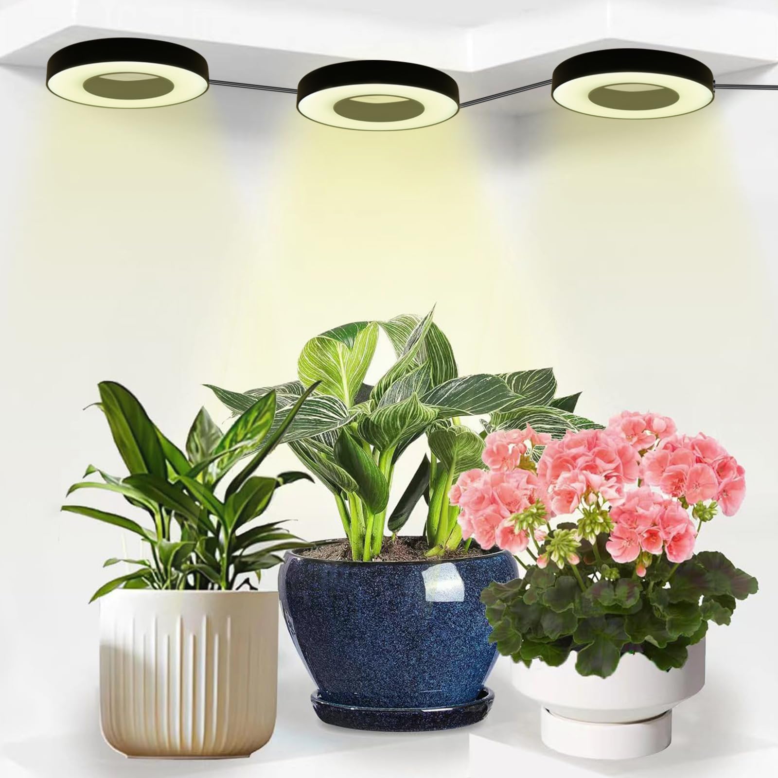 Guijzsltrg 3 Heads Grow Lights For Indoor Plants, 3/9/12Hrs Full Spectrum Led Grow Light With Auto Timer, Desktop Plant Growing Lamps With 3 Spectrum Modes And 10 Brightness Levels For Plants, Seedlings, Succulents