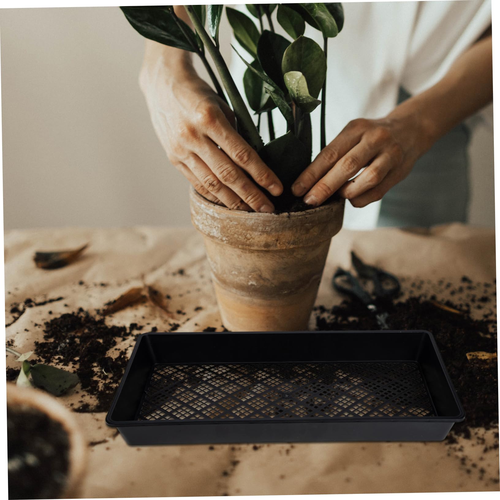 TOYANDONA 6pièces Lot de Plateaux de Semis Multi Germination des Germes Pratiques pour Jardinage et Culture