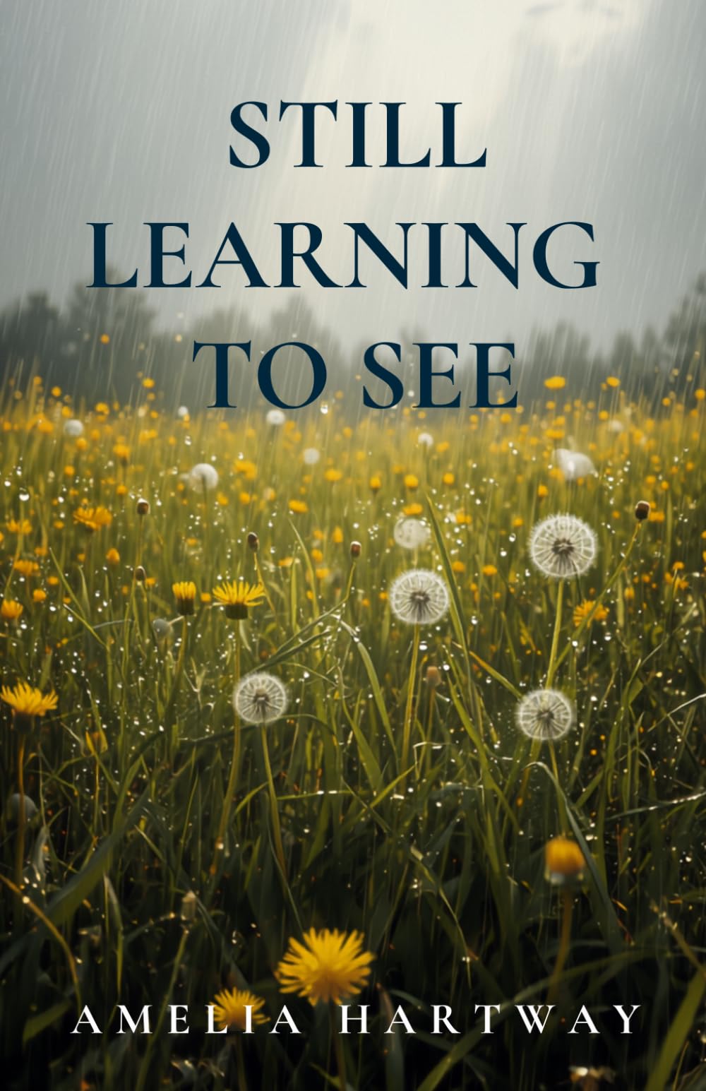 Still Learning to See: A Novel of Self-Discovery