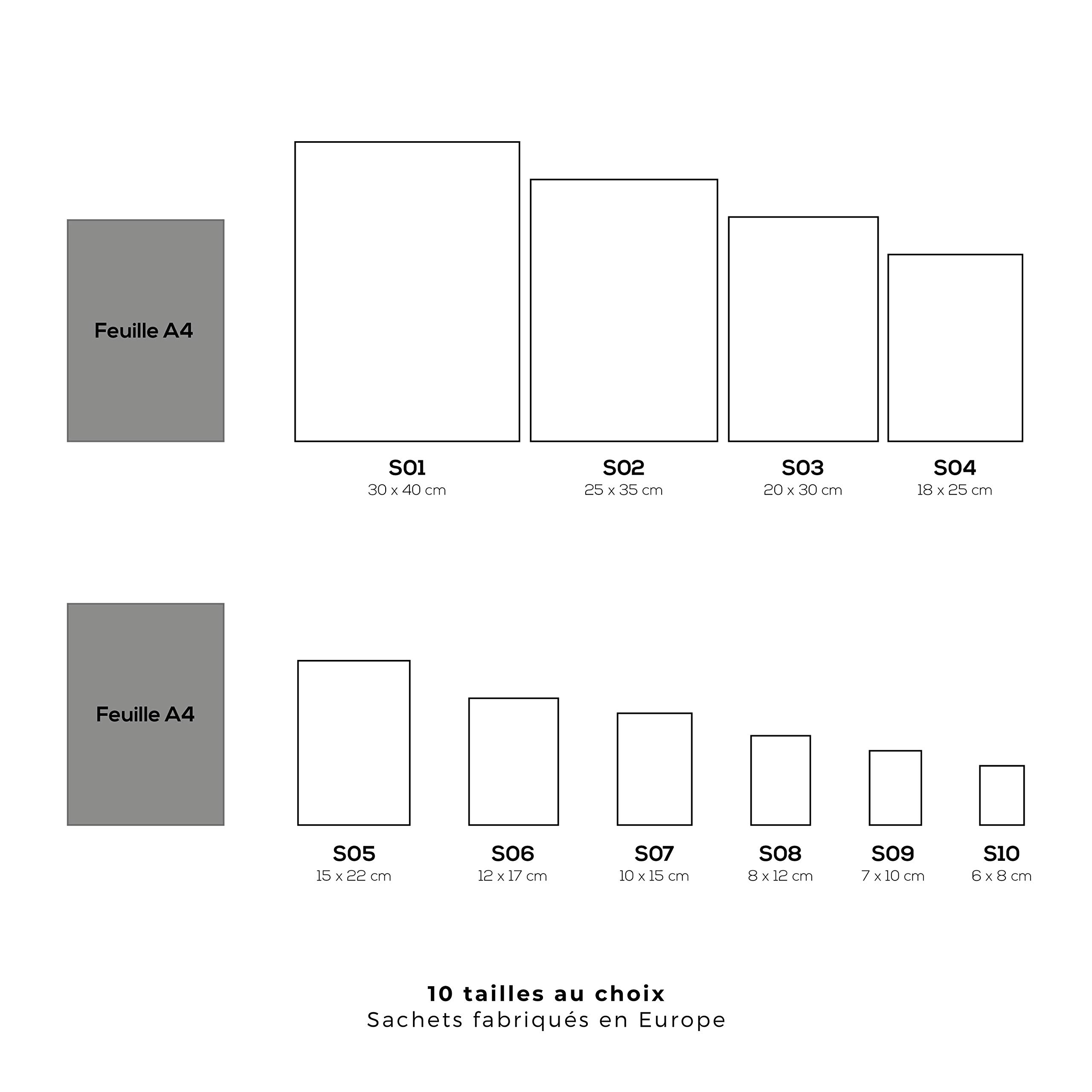 Lot de 100 sachets zip refermables - 30 x 40 cm (10 tailles au choix)