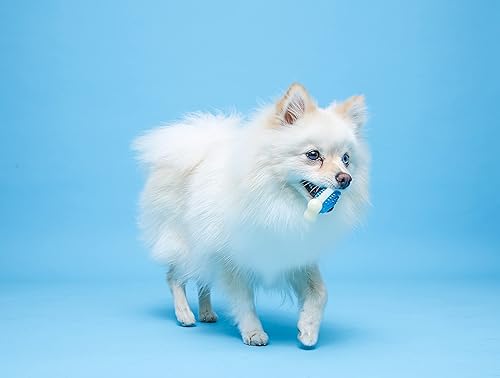 Vista 10 de Hartz Chew 'n Clean Dental Duo - Juguete para masticar y masticar para perros, el color varía, grande, paquete de 3 Naranja, verde