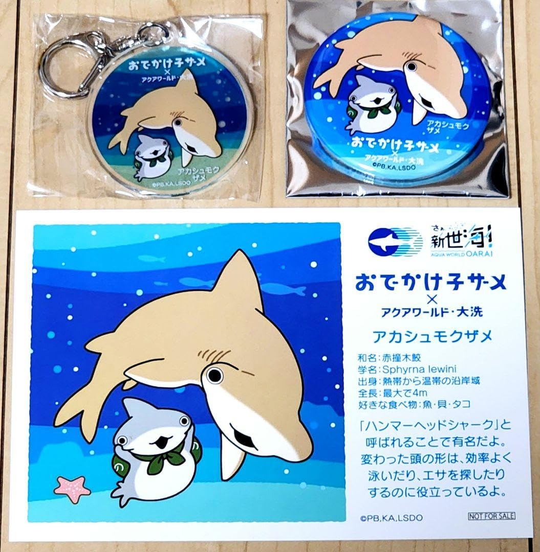 アクアちゃん様　予約分　魚沼、姫 Amazon.co.jp: おでかけ子ザメちゃん アクアワールド大洗 4点