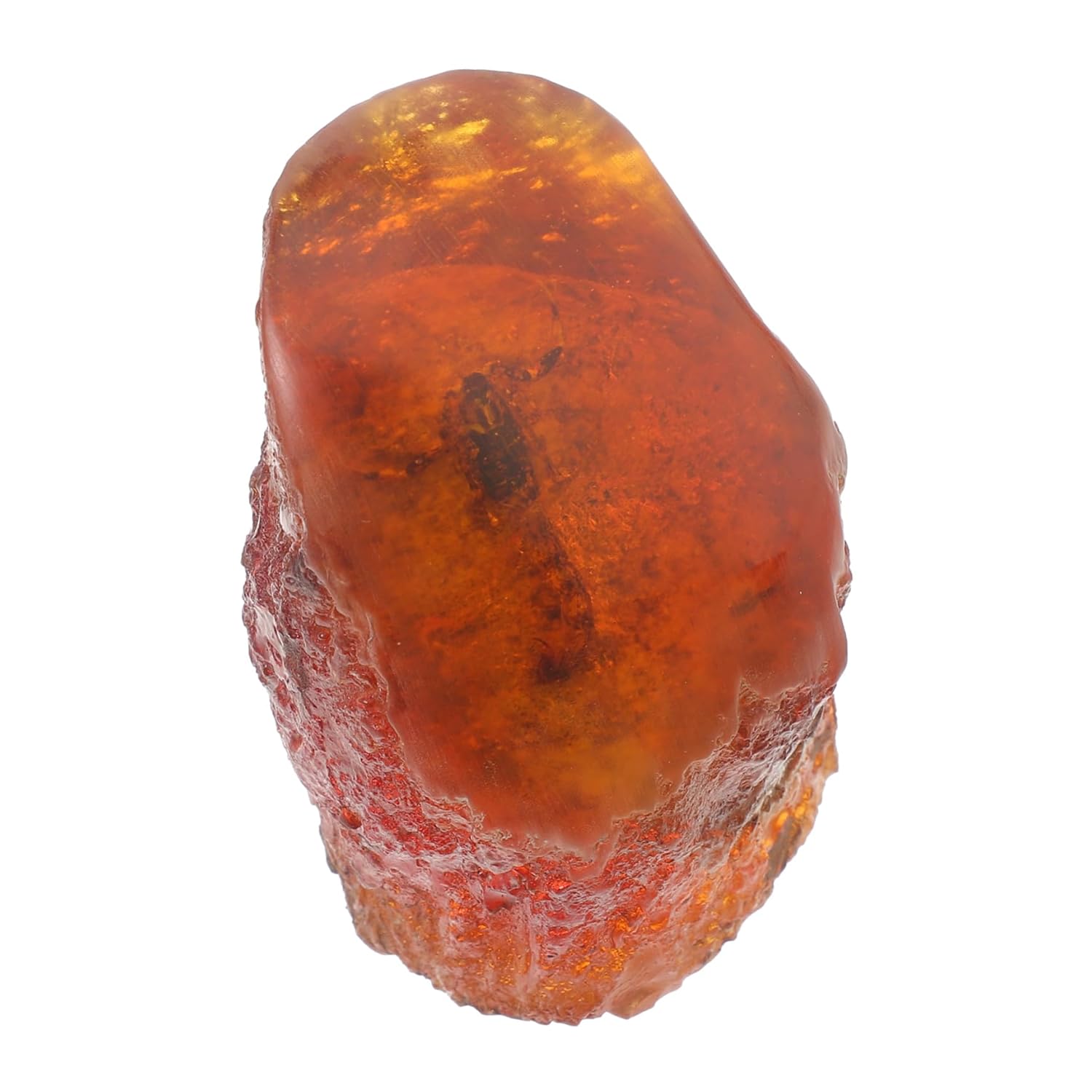 Gatuida 3pcs Insect Amber Resin Stone Specimen Scorpion Specimen Decorative for Home