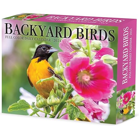 Willow Creek Press Backyard Birds Daily 2024 Calendar