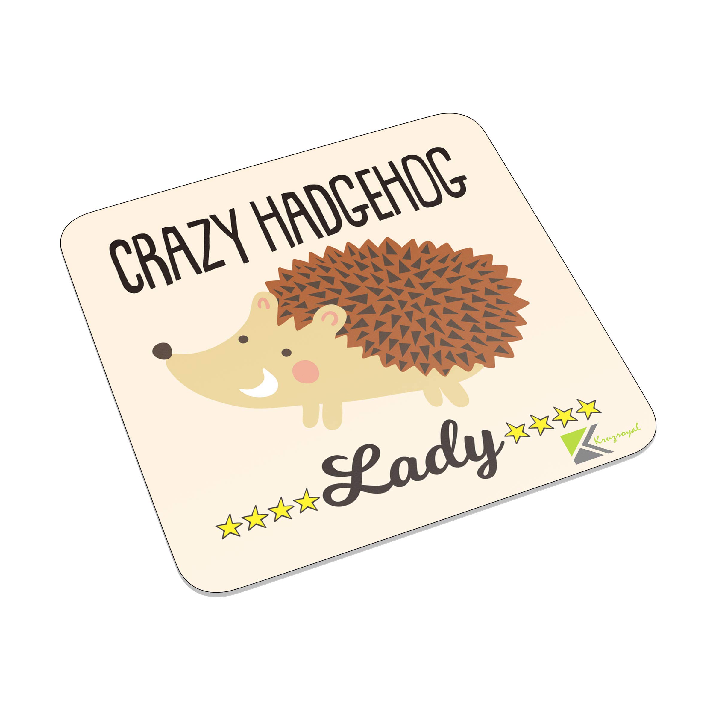 Kruzroyal Fm092 Crazy Hedgehog Lady Novelty Funny Idea Glossy Metal Square Fridge Magnet