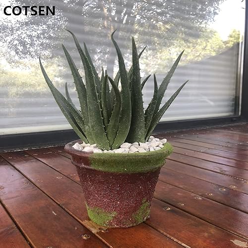 Miniatura 3 de 2 piezas de suculentas artificiales grandes, plantas artificiales de aloe, suculentas artificiales sin maceta, utilizadas para jardín, oficina,