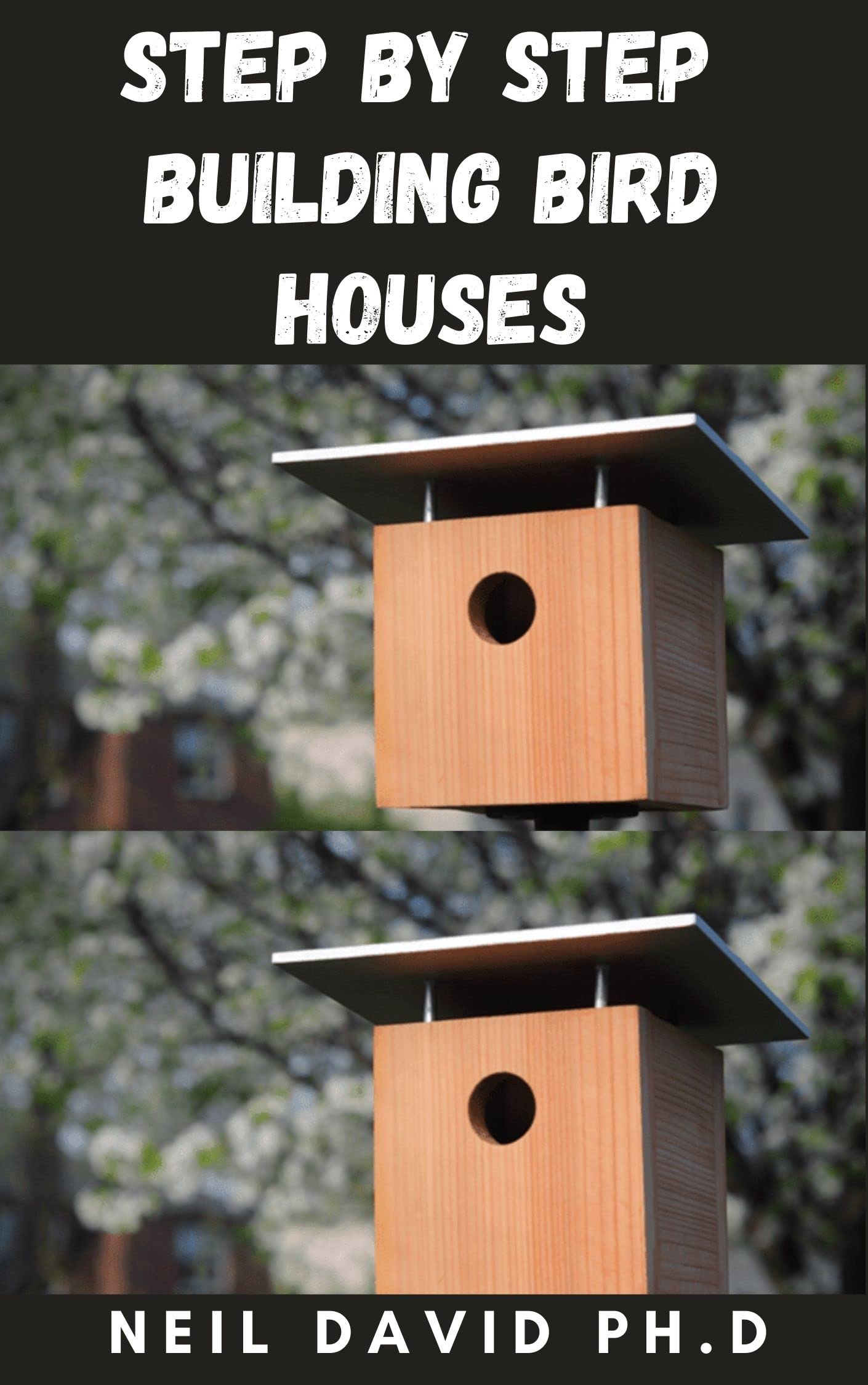 Buy STEP BY STEP BUILDING BIRD HOUSES Essential Guide To Bird House