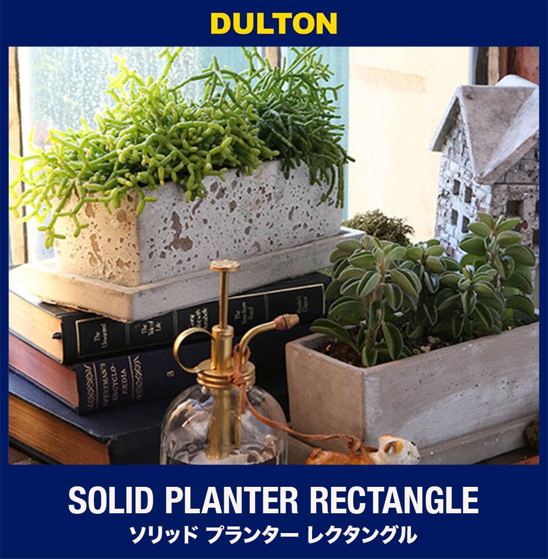 Amazon.co.jp: ダルトン(Dulton) 園芸用品 ソリッド プランター
