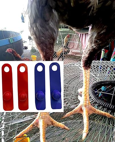 Miniatura 6 de A.D.P. R2 Suministros de pollo para espolón y protección de piernas, 2 pares, color rojo y azul, 2 pares, protección de gallo, guante de pollo,